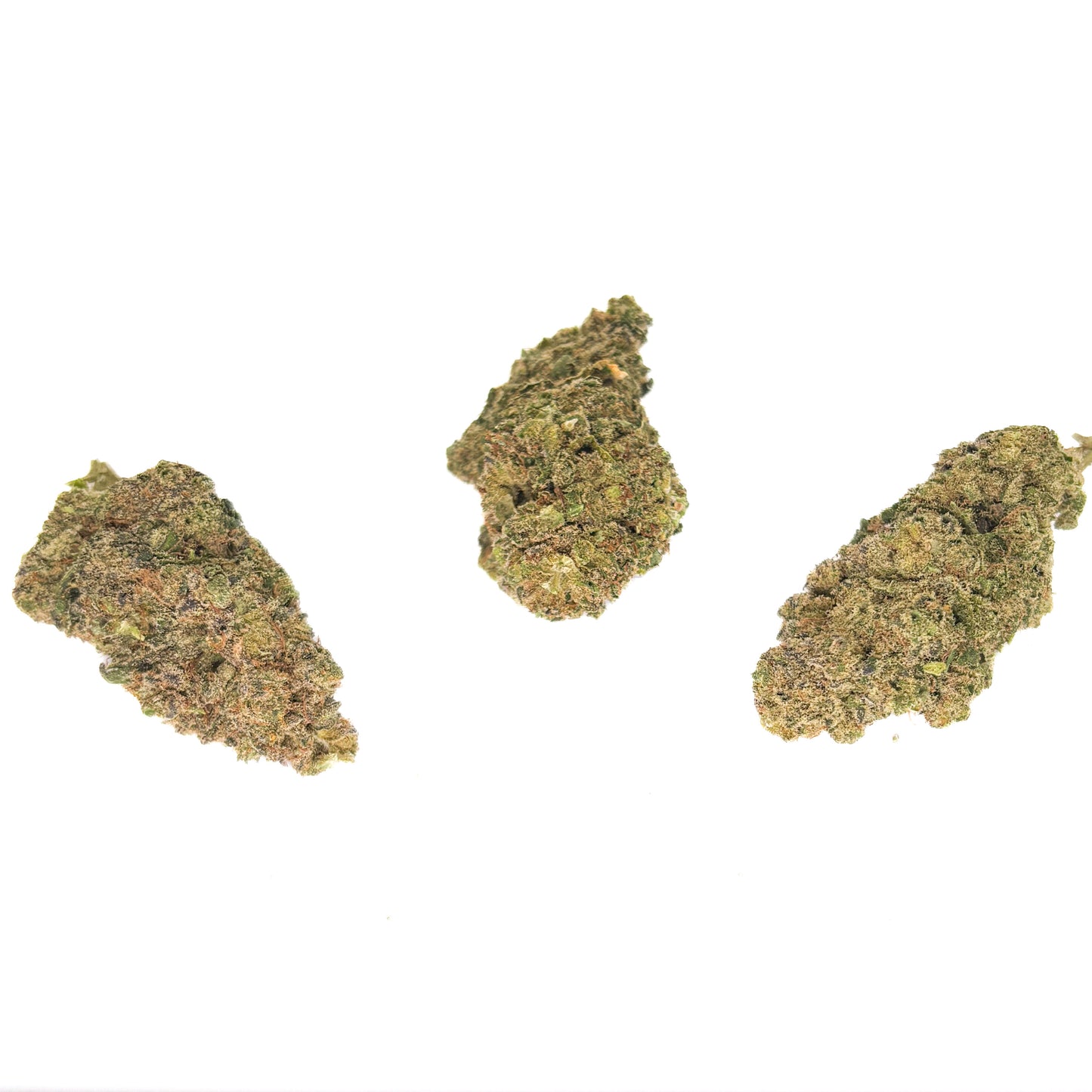 ANIMAL COOKIES