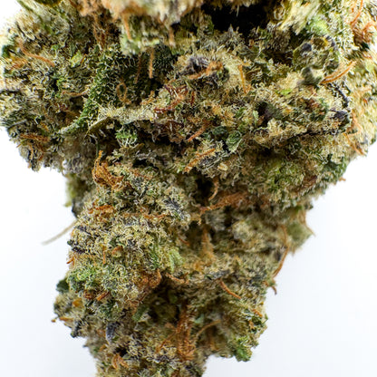 ANIMAL COOKIES